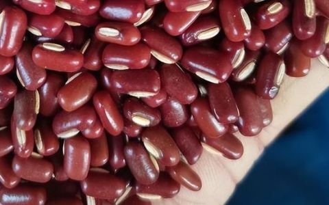今日赤小豆价格多少钱一斤,红小豆和赤小豆哪个更容易被煮烂