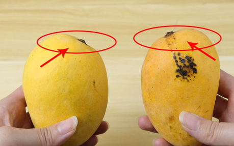 好芒果和坏芒果挑选的区别,芒果酸选用哪种芒果