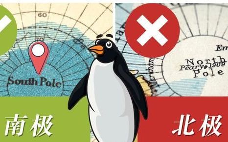 企鹅为什么生活在北极就不生活在南极?